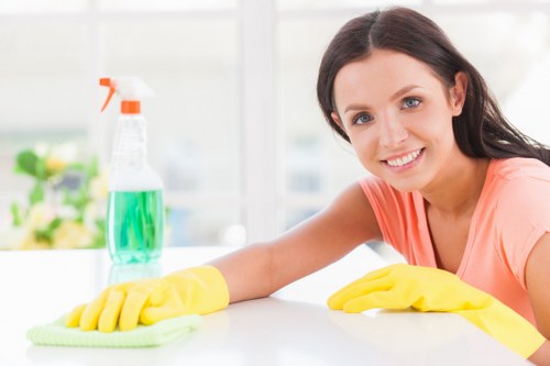 Deep cleaning service for a Crystalpalace home kitchen