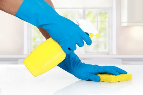 Preparation and inspection for commercial carpet cleaning in Crystal Palace