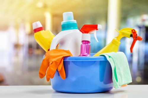 Cleaner Crystalpalace team focused on detailed professional cleaning