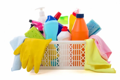 Clean residential windows in a Crystal Palace property