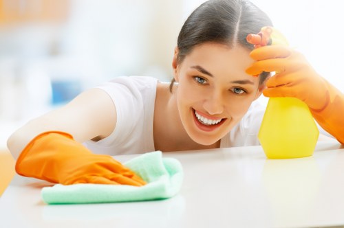 Regular cleaning service for a Crystalpalace home interior