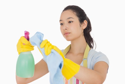 Local cleaner working in a Crystal Palace kitchen and bathroom area