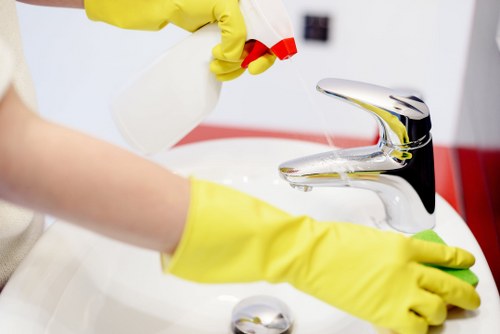 Local cleaning team maintaining a flat in Crystalpalace