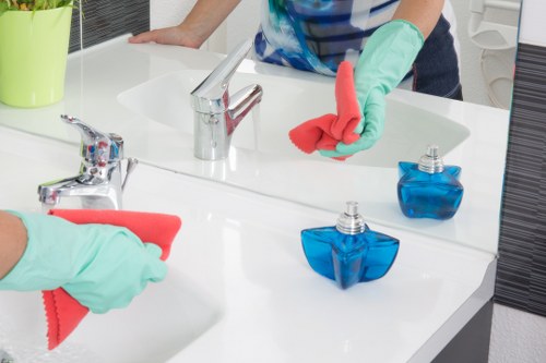 Access-friendly window cleaning for upper-floor windows in Crystal Palace