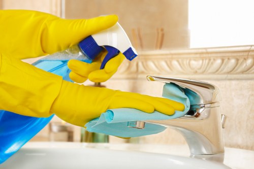 Deep cleaning of a rug to remove dirt, stains, and odours in Crystalpalace