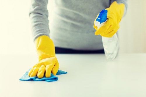 End of tenancy cleaning for a flat near Crystal Palace Triangle