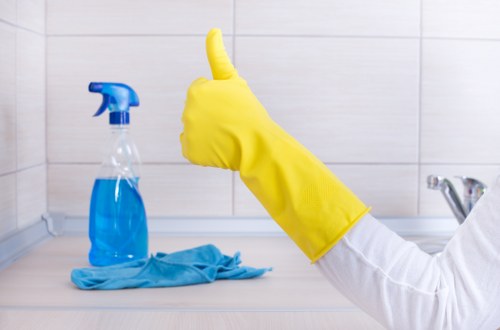 Cleaner Crystalpalace service for a bright and tidy home