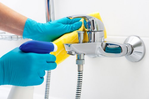 Cleaner Crystalpalace supporting cleaner, better environments with quality service