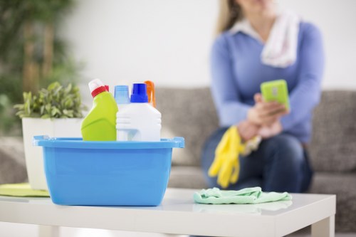 Governing law and acceptance of Cleaner Crystal Palace terms