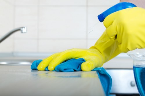Curtain care and fabric freshening for a Crystal Palace flat