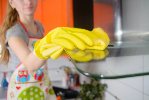 Specialist cleaning service for stubborn pet smells and stains in Crystalpalace