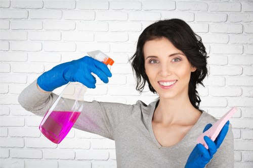 Detailed kitchen and bathroom cleaning included in a Crystalpalace move-in clean