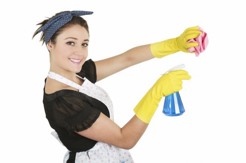 Detailed home cleaning in Crystal Palace for kitchens and bathrooms