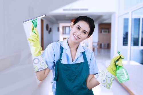 Professional home cleaning in Crystal Palace for flats and family houses