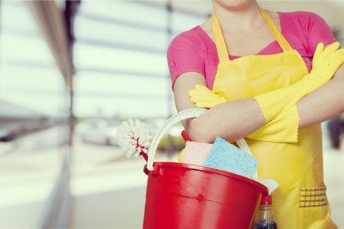 Professional cleaner following a health and safety policy