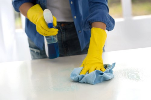 Turnaround cleaning for a furnished rental near Crystal Palace