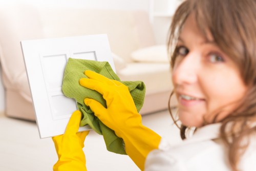 Cleaner in Crystal Palace supporting a fresh and organized home