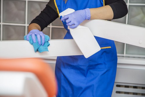 Local technician cleaning upholstery in a Crystal Palace home
